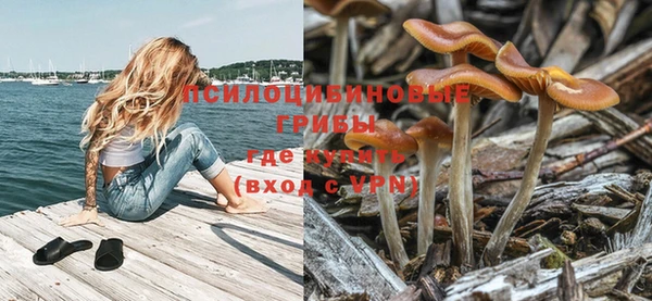 каннабис Гусь-Хрустальный