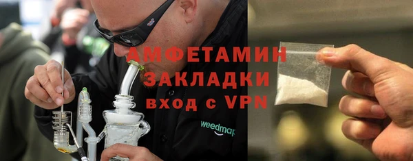 прущие грибы Канск