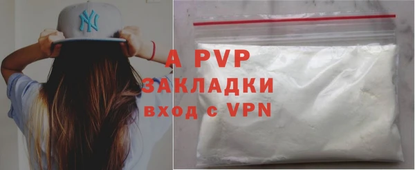 шишки Чердынь