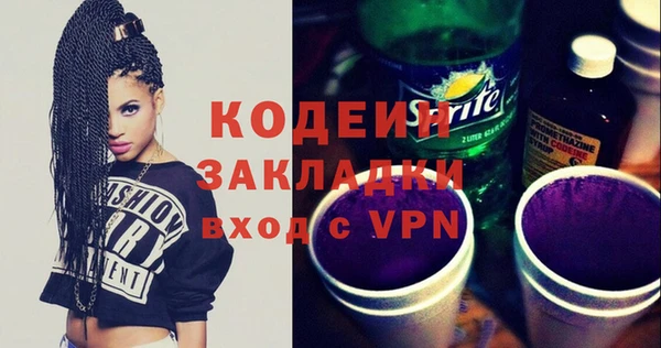 шишки Чердынь