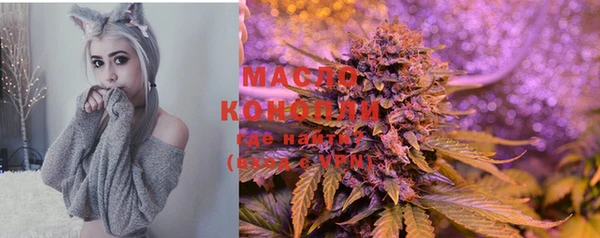 дмт Гусиноозёрск