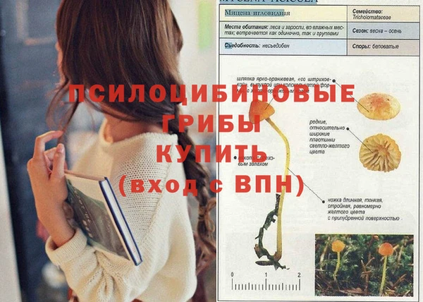 спайс Чекалин